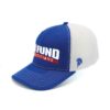 Defund Politicians