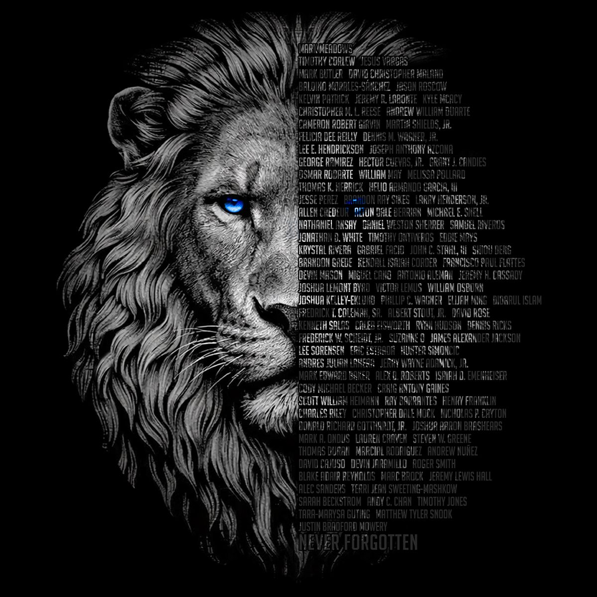 2025 Honor the Fallen 2 2025 Honor the Fallen - Image 2